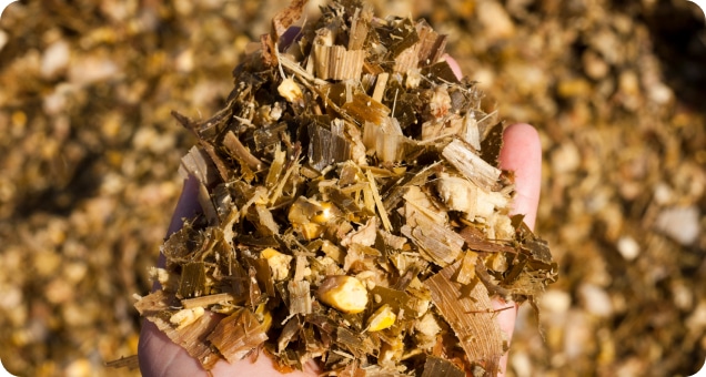 A hand holds a pile of shredded corn stalks and leaves, commonly used as animal feed or mulch.