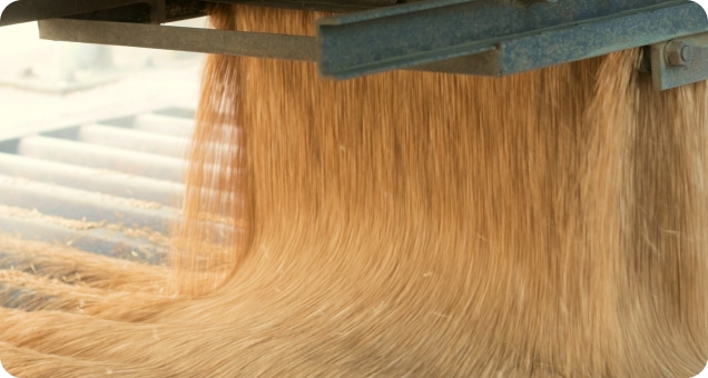Grain pours from a chute in a processing facility.