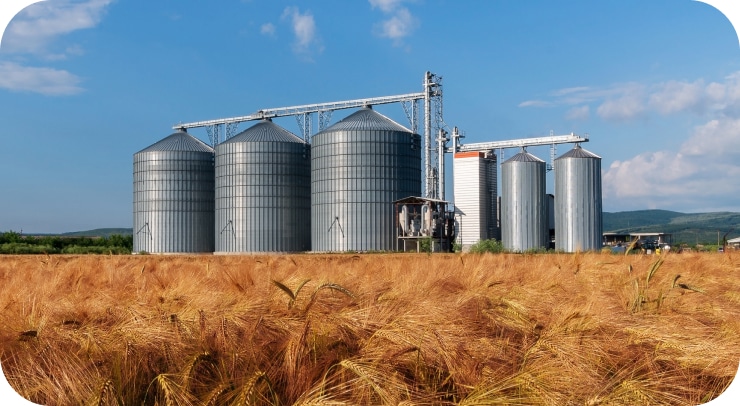 A row of large, silver grain silos stands behind a field of golden wheat under a blue sky.