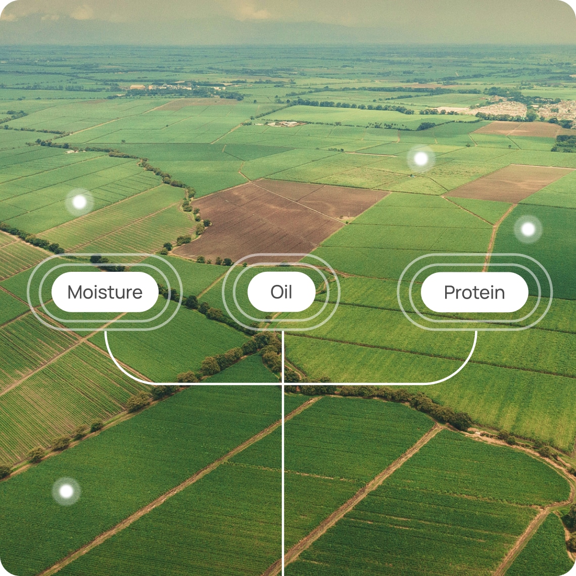 Aerial view of farmland with labels indicating moisture, oil, and protein levels over different fields.