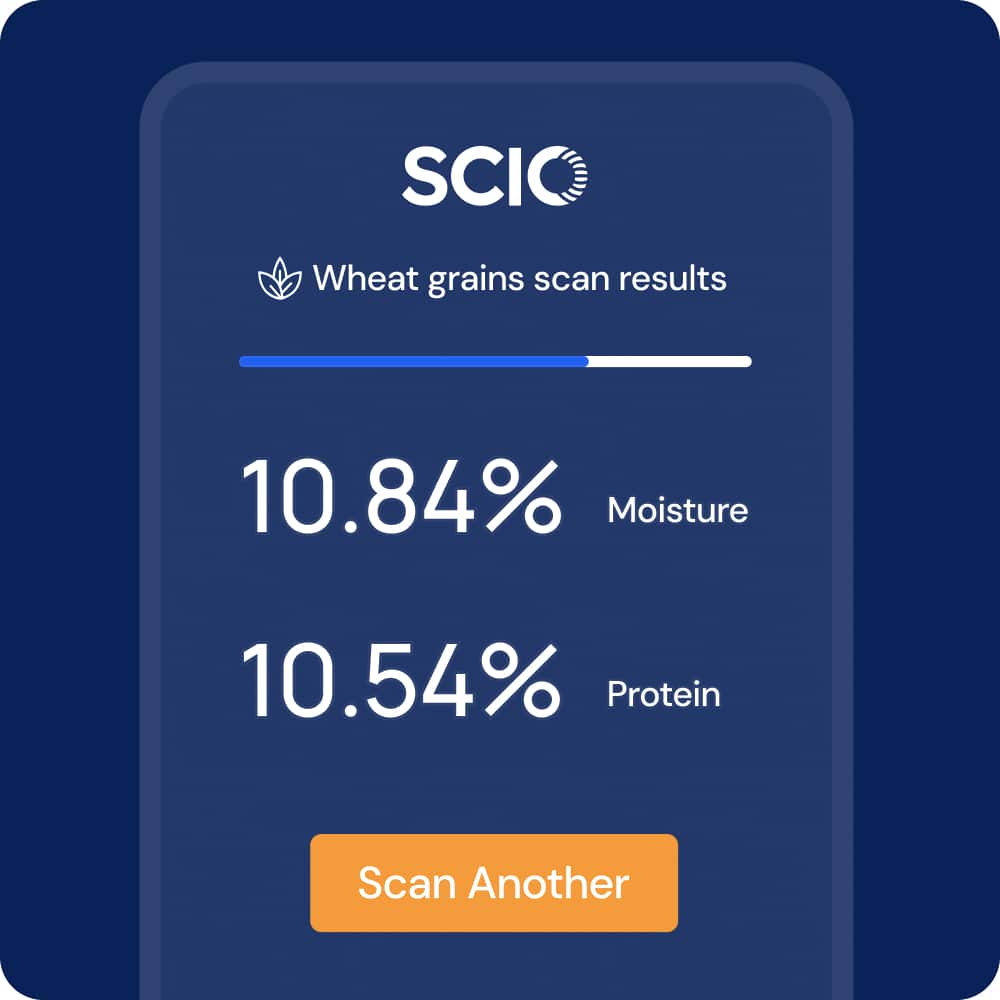 App screen displaying wheat grain scan results: 10.84% moisture and 10.54% protein. "Scan Another" button at the bottom.