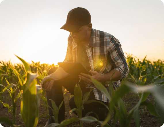 Farmer in a field
