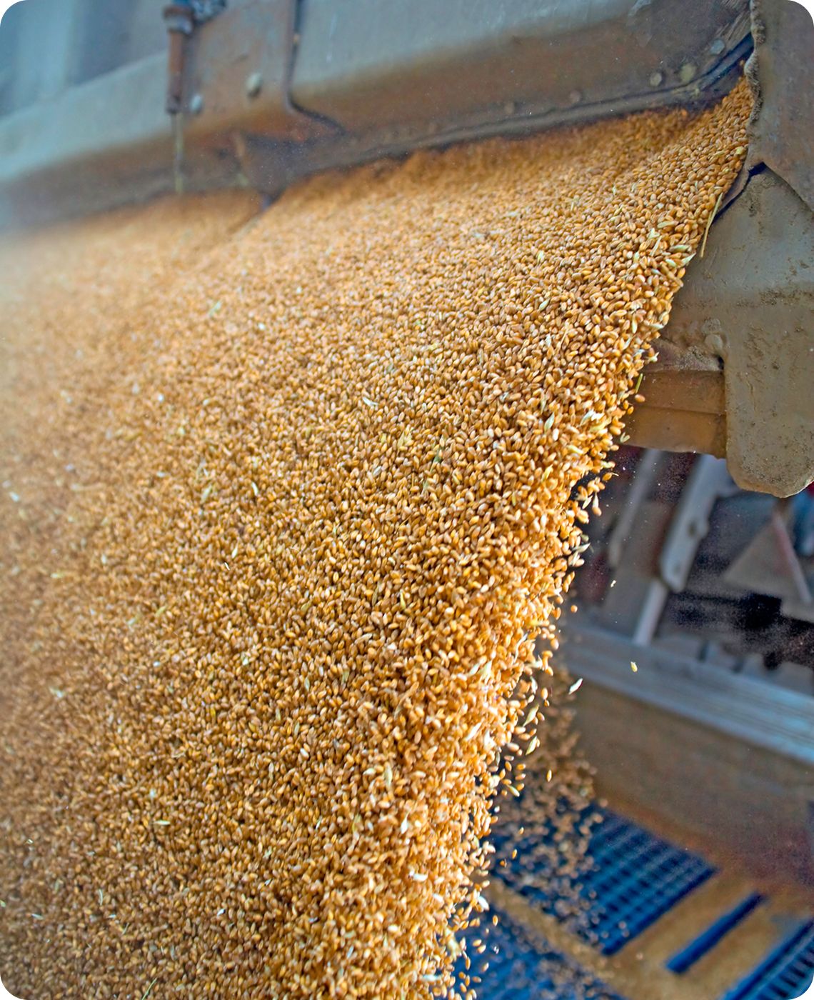 grain-elevator